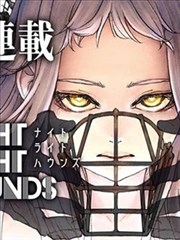 色猴悟空图版二：七色灵韵谱系与归还顺序示意标本